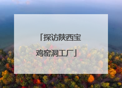 探访陕西宝鸡窑洞工厂