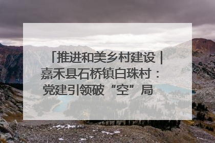推进和美乡村建设｜嘉禾县石桥镇白珠村：党建引领破“空”局 乡贤聚力绘就新图景