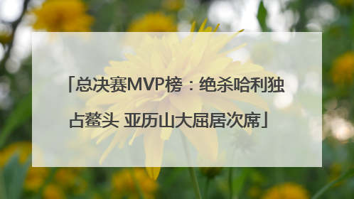 总决赛MVP榜：绝杀哈利独占鳌头 亚历山大屈居次席