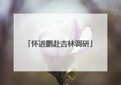 怀进鹏赴吉林调研