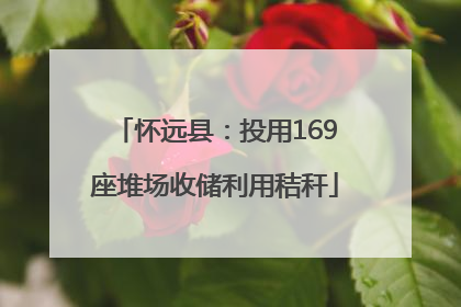 怀远县：投用169座堆场收储利用秸秆
