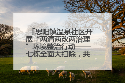 思阳镇温泉社区开展“两清两改两治理”环境整治行动——七栋全面大扫除，共建洁净家园