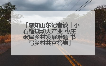 感知山东记者谈丨小石榴撬动大产业 枣庄破局乡村发展难题 书写乡村共富答卷