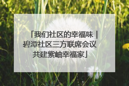我们社区的幸福味｜碧潭社区三方联席会议共建紫岫幸福家