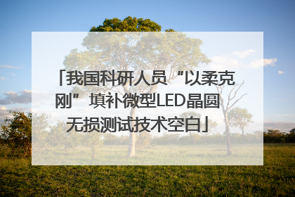 我国科研人员“以柔克刚”填补微型LED晶圆无损测试技术空白