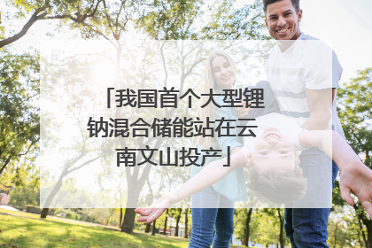 我国首个大型锂钠混合储能站在云南文山投产