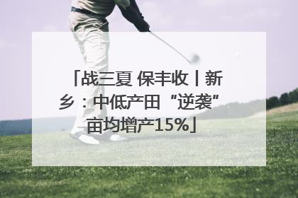 战三夏 保丰收丨新乡：中低产田“逆袭” 亩均增产15%