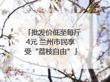 批发价低至每斤4元 兰州市民享受“荔枝自由”