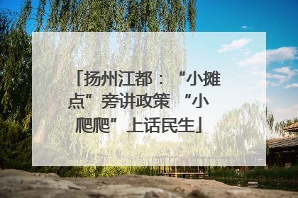 扬州江都：“小摊点”旁讲政策 “小爬爬”上话民生