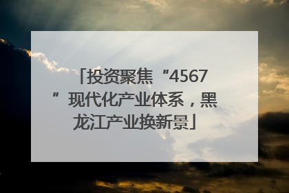 投资聚焦“4567”现代化产业体系，黑龙江产业换新景