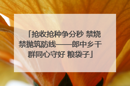 抢收抢种争分秒 禁烧禁抛筑防线——郎中乡干群同心守好 粮袋子