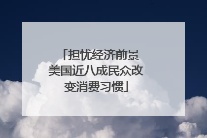 担忧经济前景 美国近八成民众改变消费习惯