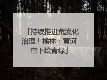 持续推进荒漠化治理！榆林：黄河弯下绘青绿