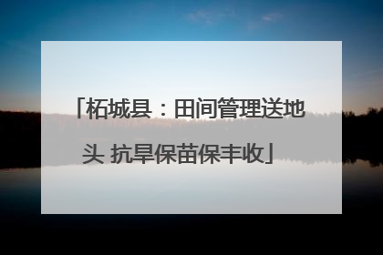 柘城县：田间管理送地头 抗旱保苗保丰收