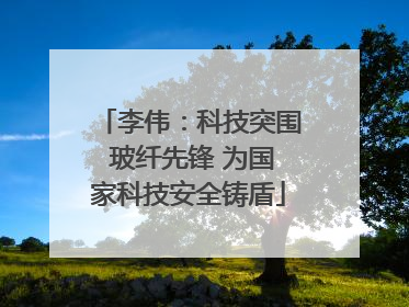 李伟：科技突围 玻纤先锋 为国家科技安全铸盾