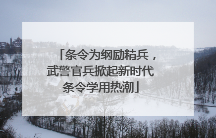 条令为纲励精兵，武警官兵掀起新时代条令学用热潮