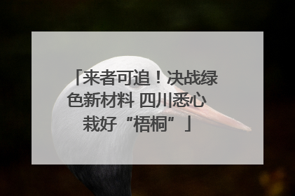 来者可追！决战绿色新材料 四川悉心栽好“梧桐”