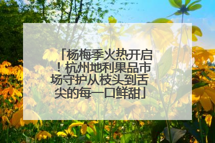 杨梅季火热开启！杭州地利果品市场守护从枝头到舌尖的每一口鲜甜