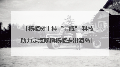 杨梅树上挂“宝瓶” 科技助力定海晚稻杨梅走出海岛