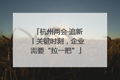 杭州两会·追新丨关键时刻，企业需要“拉一把”