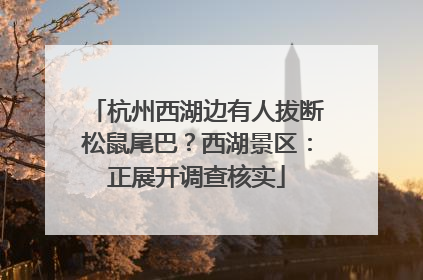 杭州西湖边有人拔断松鼠尾巴？西湖景区：正展开调查核实