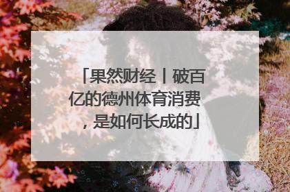 果然财经丨破百亿的德州体育消费，是如何长成的