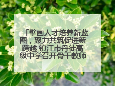 擘画人才培养新蓝图，聚力共筑促进新跨越 镇江市丹徒高级中学召开骨干教师培养大会