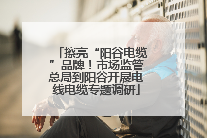 擦亮“阳谷电缆”品牌！市场监管总局到阳谷开展电线电缆专题调研