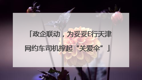 政企联动，为妥妥E行天津网约车司机撑起“关爱伞”