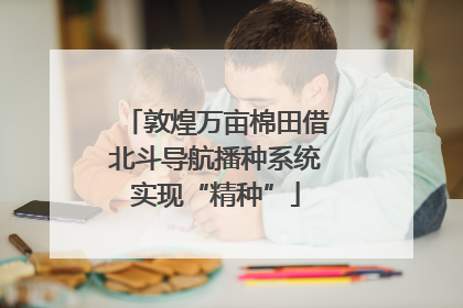 敦煌万亩棉田借北斗导航播种系统实现“精种”