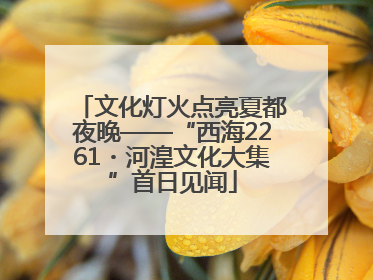 文化灯火点亮夏都夜晚——“西海2261・河湟文化大集”首日见闻