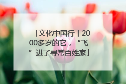 文化中国行丨2000多岁的它，“飞”进了寻常百姓家