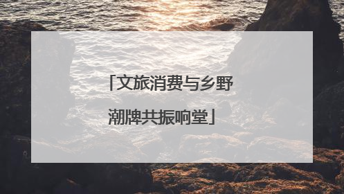 文旅消费与乡野潮牌共振响堂