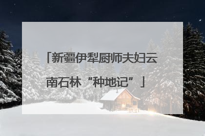 新疆伊犁厨师夫妇云南石林“种地记”