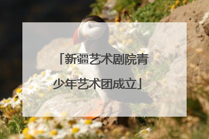 新疆艺术剧院青少年艺术团成立