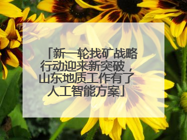 新一轮找矿战略行动迎来新突破，山东地质工作有了人工智能方案