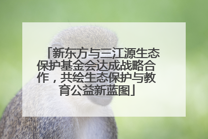 新东方与三江源生态保护基金会达成战略合作，共绘生态保护与教育公益新蓝图
