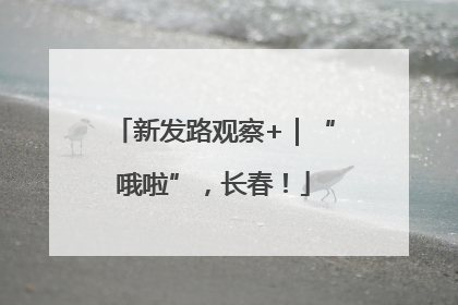 新发路观察+｜“哦啦”，长春！