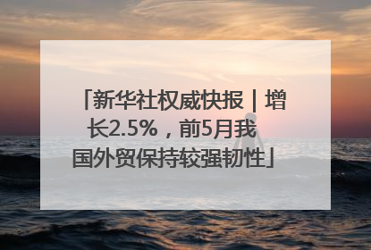 新华社权威快报｜增长2.5%，前5月我国外贸保持较强韧性