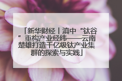 新华财经丨滇中“钛谷”重构产业经纬——云南楚雄打造千亿级钛产业集群的探索与实践