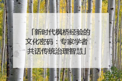 新时代枫桥经验的文化密码：专家学者共话传统治理智慧