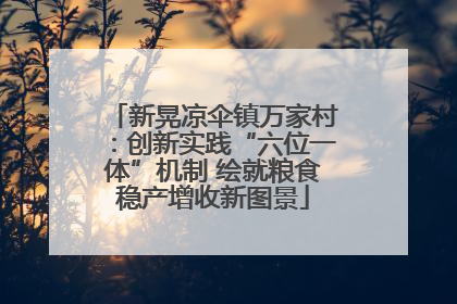 新晃凉伞镇万家村：创新实践“六位一体”机制 绘就粮食稳产增收新图景