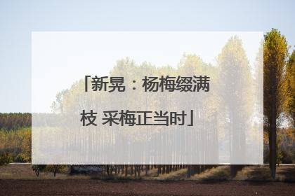 新晃：杨梅缀满枝 采梅正当时