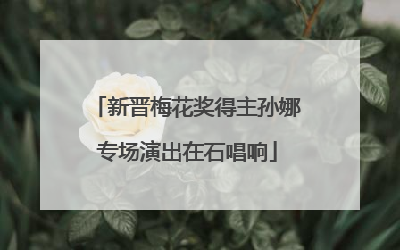 新晋梅花奖得主孙娜专场演出在石唱响