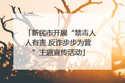 新民市开展“禁毒人人有责 反诈步步为营”主题宣传活动