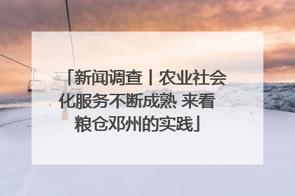 新闻调查丨农业社会化服务不断成熟 来看粮仓邓州的实践