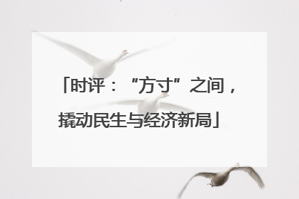 时评：“方寸”之间，撬动民生与经济新局
