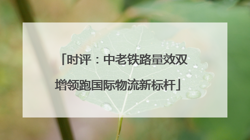 时评：中老铁路量效双增领跑国际物流新标杆