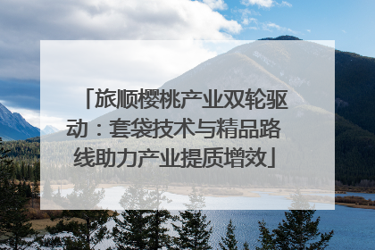旅顺樱桃产业双轮驱动：套袋技术与精品路线助力产业提质增效