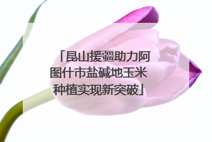 昆山援疆助力阿图什市盐碱地玉米种植实现新突破